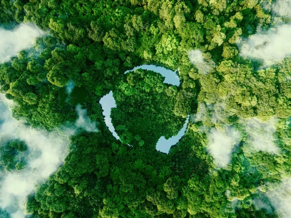 Sustainability