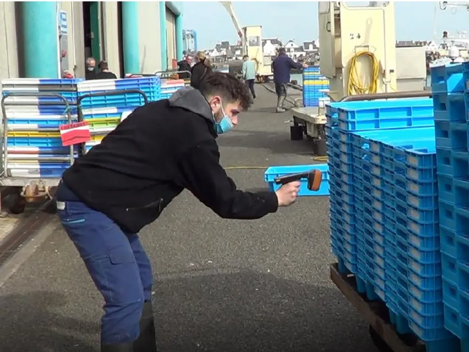 fish box management using rfid label